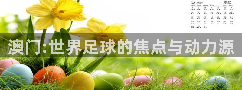世界杯预选赛直播:澳门:世界足球的焦点与动力源