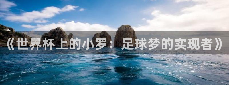 足球杯:《世界杯上的小罗:足球梦的实现者》