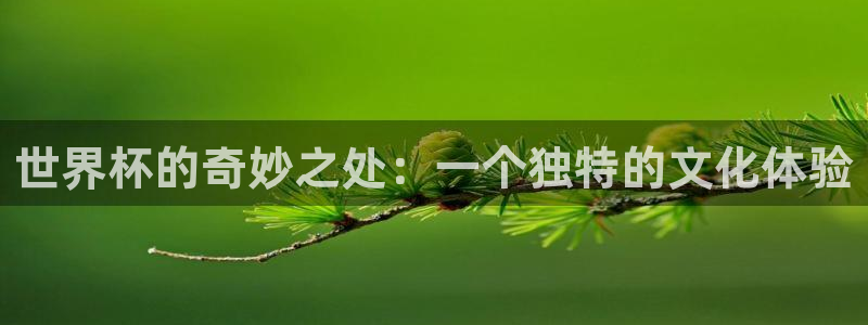 世界杯亚洲区预选赛赛程:世界杯的奇妙之处:一个独特的文化体验