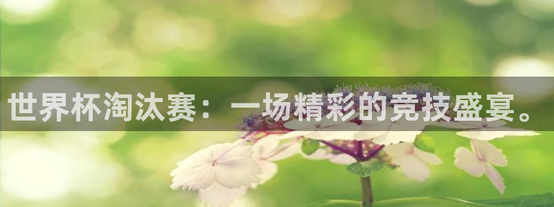 2026男足世界杯赛程:世界杯淘汰赛:一场精彩的竞技盛宴。