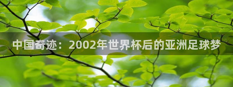 世界杯预选赛排名:中国奇迹:2002年世界杯后的亚洲足球梦